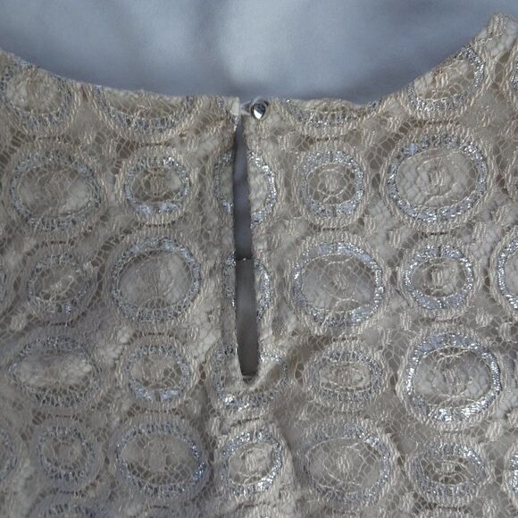 Cynthia Steffe Sparkly Dress Size 8 - Picture 7 of 14